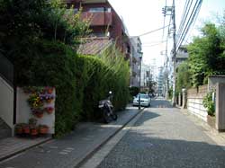 oota-mitaka15w.jpg